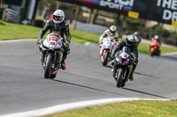 Oulton-Park-21st-March-2020;PJ-Motorsport-Photography-2020;anglesey;brands-hatch;cadwell-park;croft;donington-park;enduro-digital-images;event-digital-images;eventdigitalimages;mallory;no-limits;oulton-park;peter-wileman-photography;racing-digital-images;silverstone;snetterton;trackday-digital-images;trackday-photos;vmcc-banbury-run;welsh-2-day-enduro